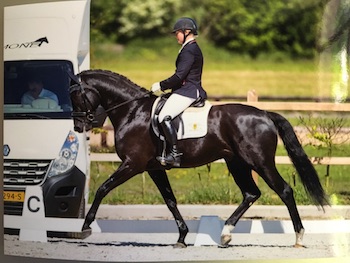 http://www.bnstables.nl/cms/upload/images/haakon2018.jpg